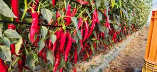 박종혁 님의 자유주제 · 자유게시판 작성글 사진