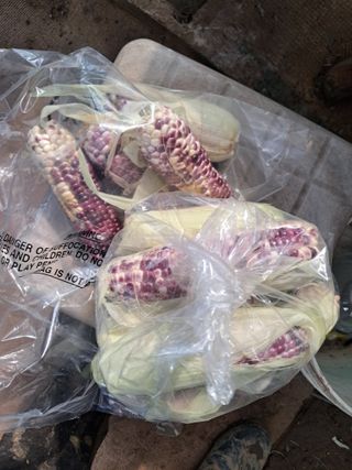 최한기님의 자유주제 · 자유게시판 작성글 사진