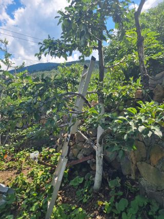 김용대님의 자유주제 · 자유게시판 작성글 사진