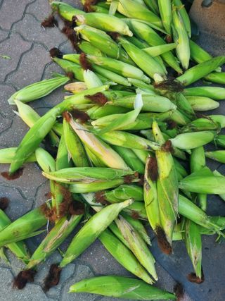 김용대님의 자유주제 · 자유게시판 작성글 사진