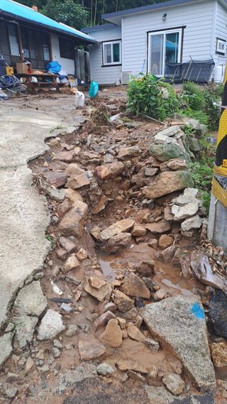 서은숙님의 자유주제 · 자유게시판 작성글 사진