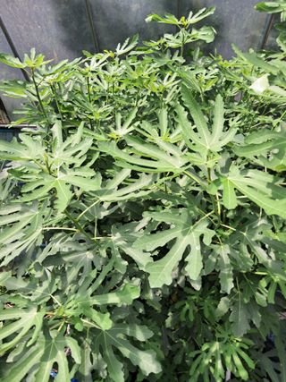 최한기님의 자유주제 · 건의해요 작성글 사진