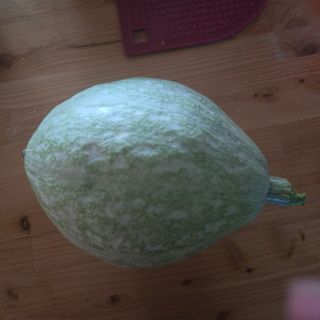 임영심님의 작성글 사진