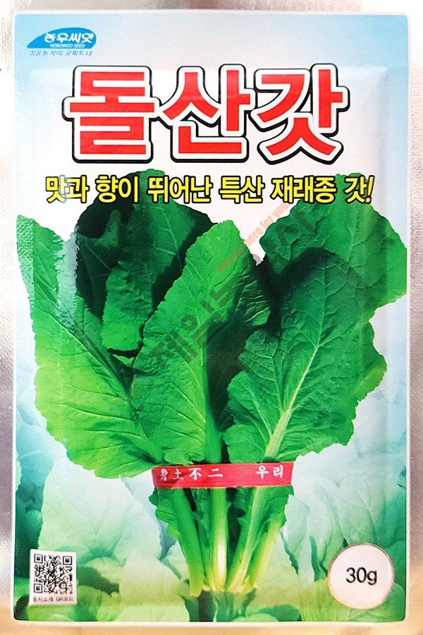 안산제일농약사님의 장터 판매 상품 [갓씨앗 모음 청갓 얼청갓 적갓 돌산갓] 첨부 사진