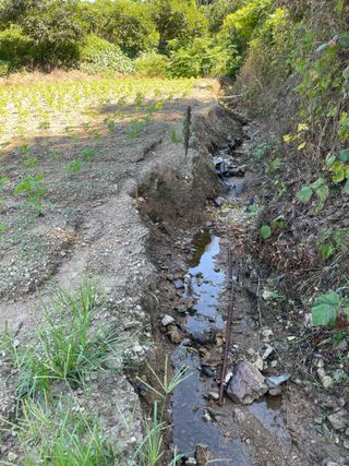 오디님의 자유주제 · 자유게시판 작성글 사진