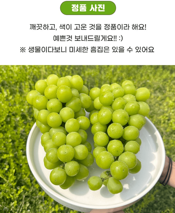 스피드번님의 장터 판매 상품 [샤인머스켓 ] 첨부 사진