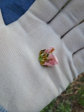 류남열님의 자유주제 · 자유게시판 작성글 사진