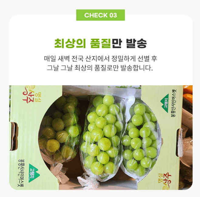 스피드번님의 장터 판매 상품 [샤인머스켓 ] 첨부 사진