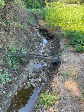 오디님의 자유주제 · 자유게시판 작성글 사진