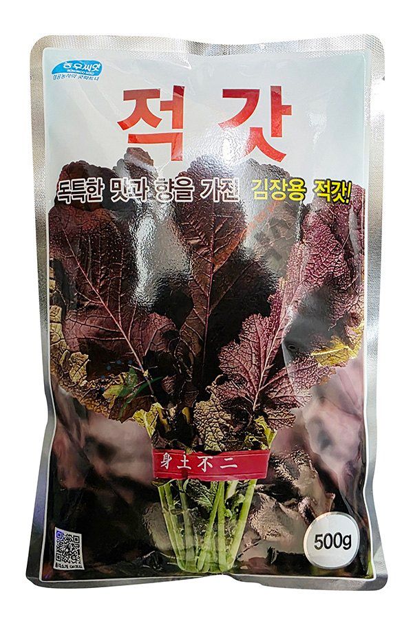 안산제일농약사님의 장터 판매 상품 [갓씨앗 모음 청갓 얼청갓 적갓 돌산갓] 첨부 사진