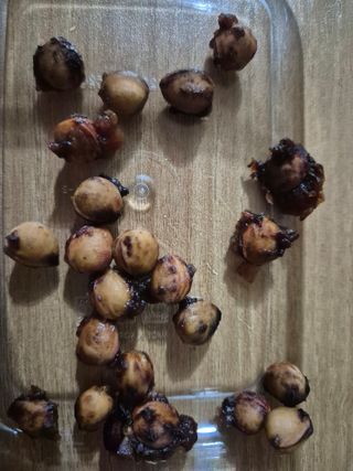 조위래님의 자유주제 · 자유게시판 작성글 사진