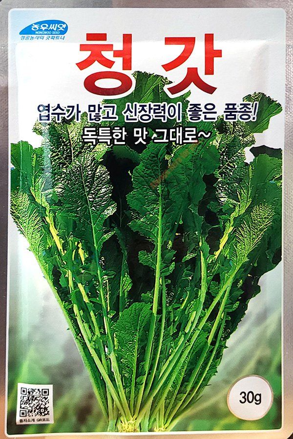 안산제일농약사님의 장터 판매 상품 [갓씨앗 모음 청갓 얼청갓 적갓 돌산갓] 첨부 사진