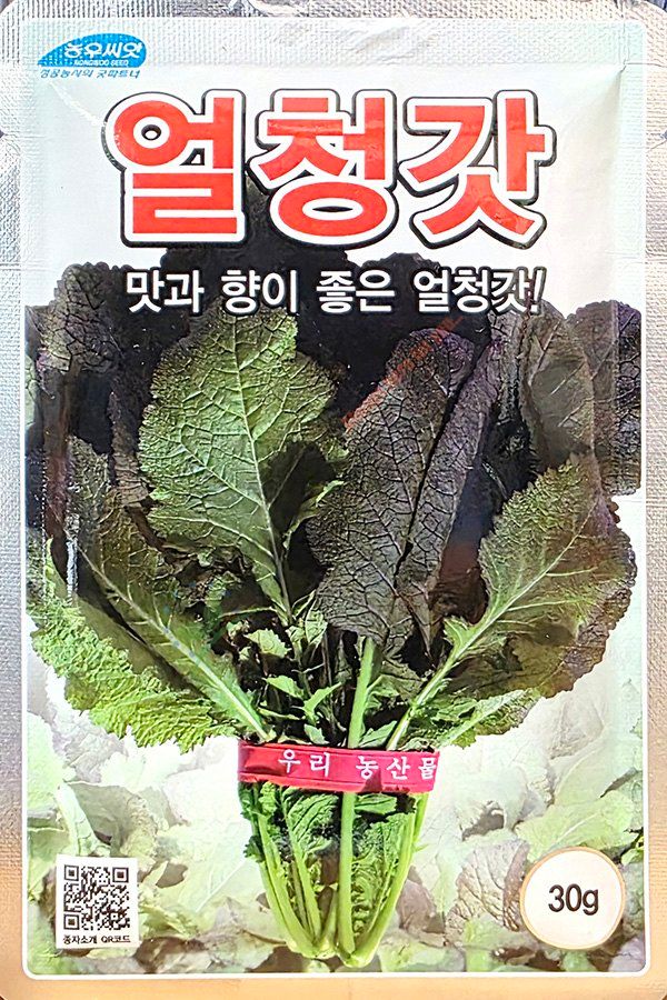 안산제일농약사님의 장터 판매 상품 [갓씨앗 모음 청갓 얼청갓 적갓 돌산갓] 첨부 사진