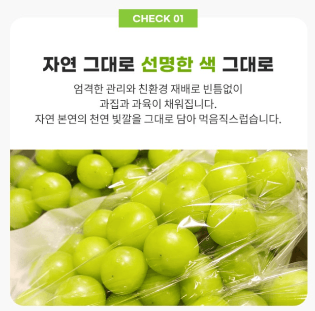 스피드번님의 장터 판매 상품 [샤인머스켓 ] 첨부 사진