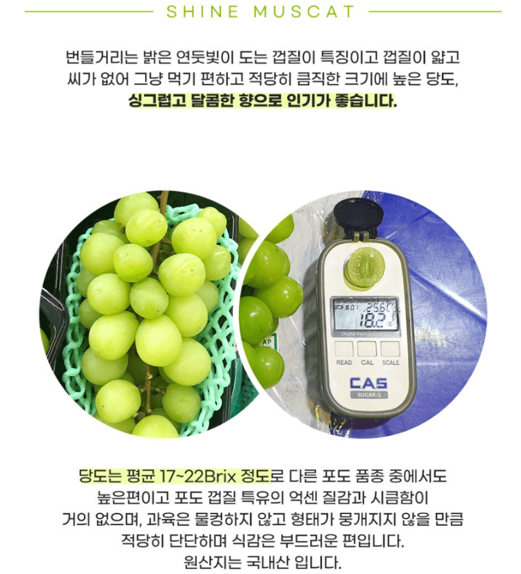 스피드번님의 장터 판매 상품 [샤인머스켓 ] 첨부 사진