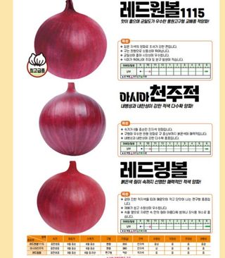 아시아종묘님의 자유주제 · 자유게시판 작성글 사진