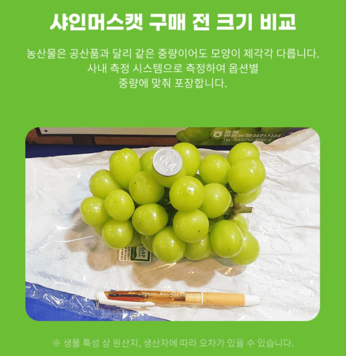 스피드번님의 장터 판매 상품 [샤인머스켓 ] 첨부 사진
