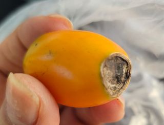 박소원님의 자유주제 · 자유게시판 작성글 사진