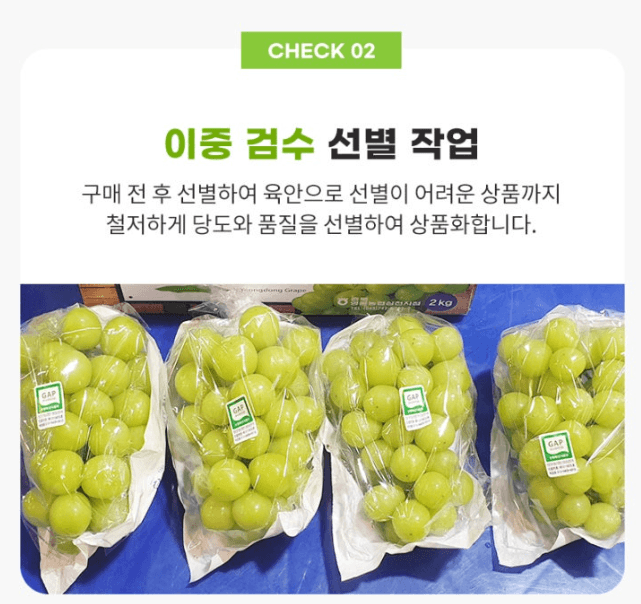 스피드번님의 장터 판매 상품 [샤인머스켓 ] 첨부 사진