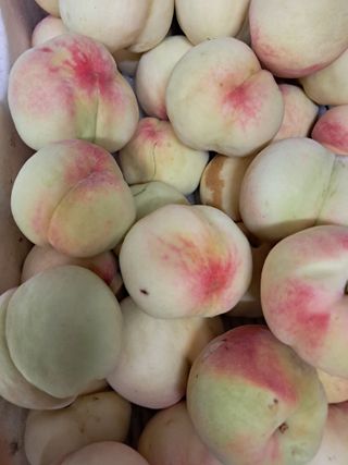 류남열님의 자유주제 · 자유게시판 작성글 사진