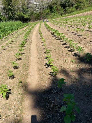 오디님의 자유주제 · 자유게시판 작성글 사진