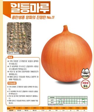 아시아종묘님의 자유주제 · 자유게시판 작성글 사진