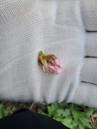 류남열님의 자유주제 · 자유게시판 작성글 사진