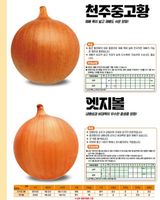 아시아종묘님의 자유주제·자유게시판 작성글 사진