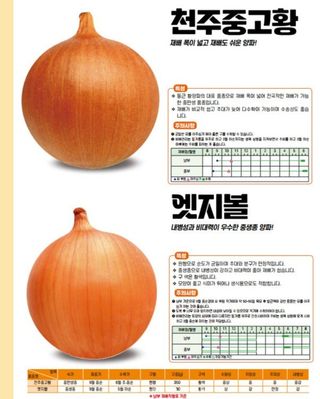 아시아종묘님의 자유주제 · 자유게시판 작성글 사진