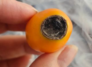 박소원님의 자유주제 · 자유게시판 작성글 사진