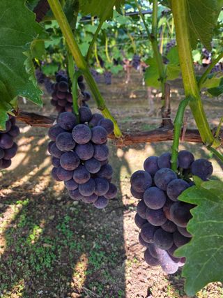 영천님의 자유주제 · 자유게시판 작성글 사진