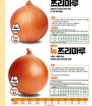 아시아종묘님의 자유주제 · 자유게시판 작성글 사진