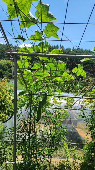 장영수님의 자유주제 · 자유게시판 작성글 사진