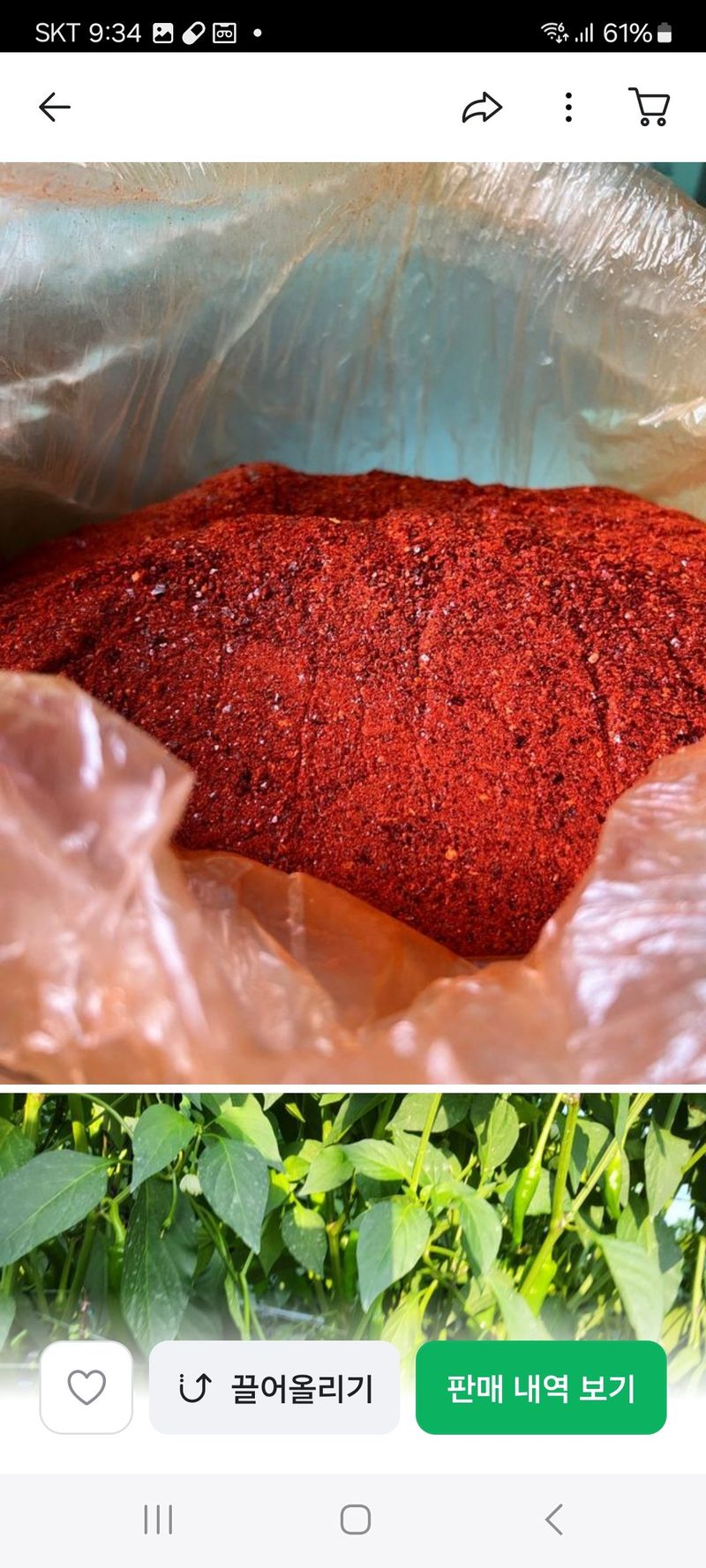 장터 상품 [고춧가루 600g] 썸네일