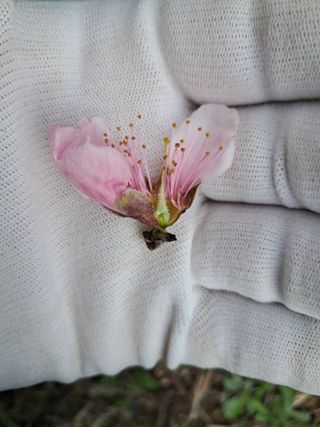 류남열님의 자유주제 · 자유게시판 작성글 사진