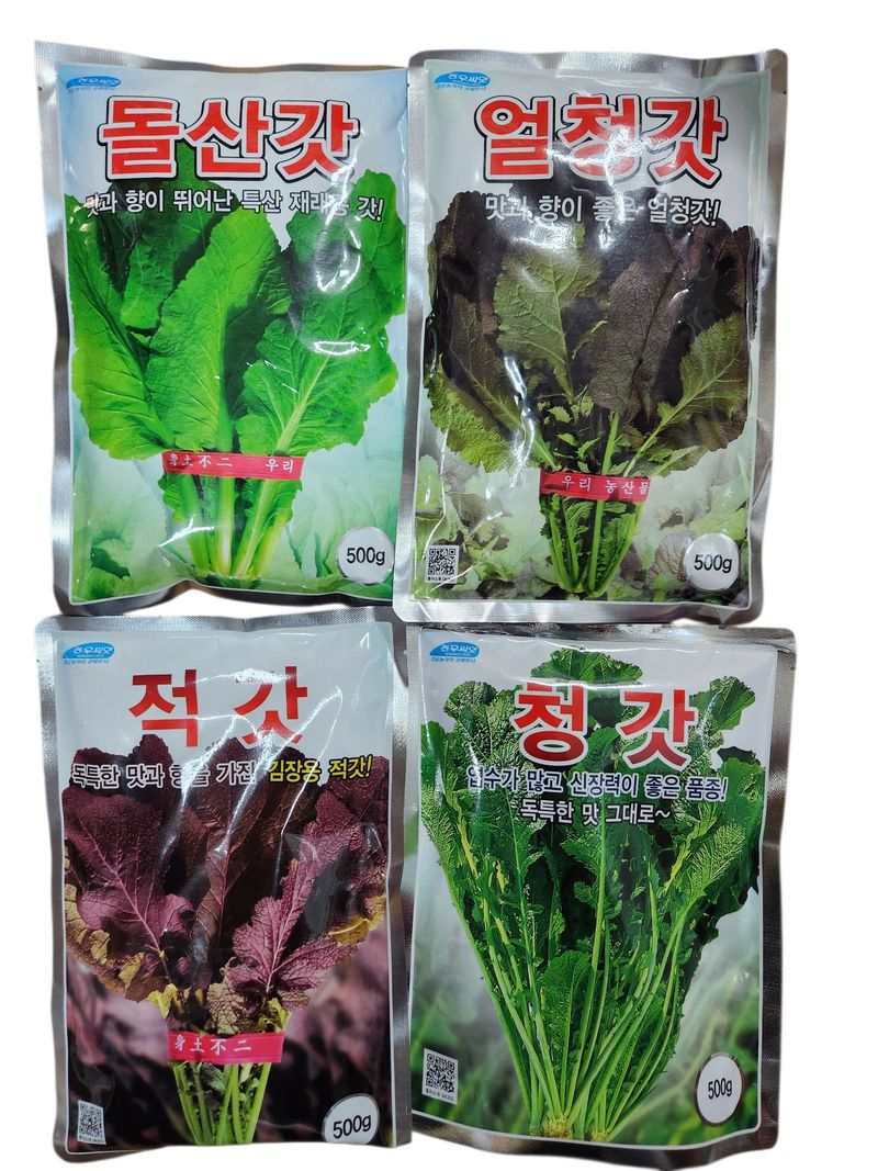 안산제일농약사님의 장터 판매 상품 [갓씨앗 모음 청갓 얼청갓 적갓 돌산갓] 첨부 사진