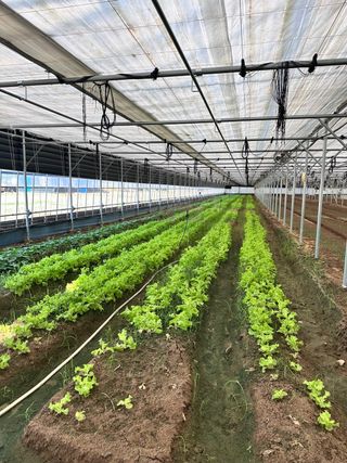 달달하니님의 자유주제 · 자유게시판 작성글 사진