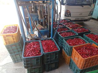 이창우님의 자유주제 · 자유게시판 작성글 사진