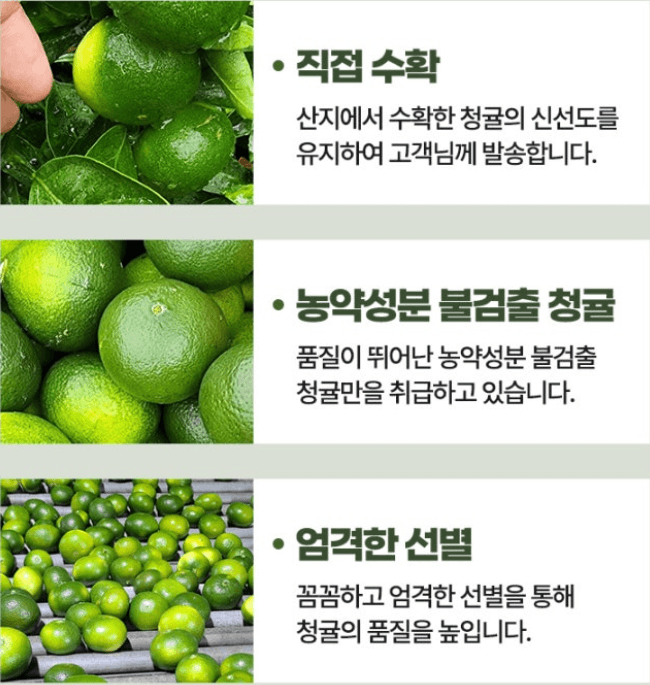 스피드번님의 장터 판매 상품 [제주도 청귤] 첨부 사진