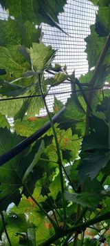 팜모닝 자유주제·자유게시판 게시글 이미지