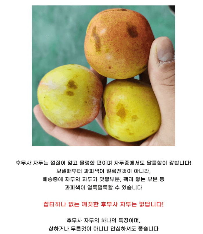 스피드번님의 장터 판매 상품 [추희 자두] 첨부 사진