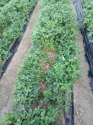 진일환님의 자유주제 · 사진전 작성글 사진