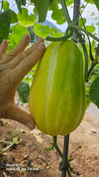 박성춘님의 자유주제 · 자유게시판 작성글 사진