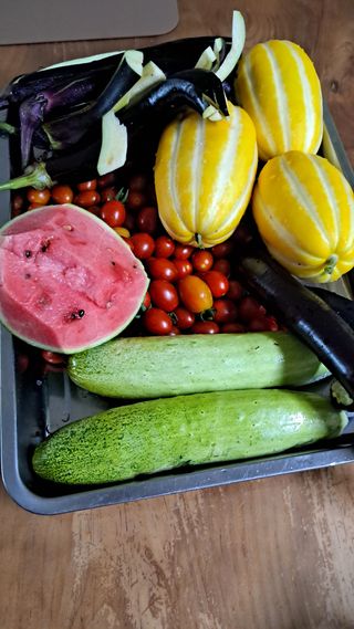 bpjh9173님의 자유주제 · 자유게시판 작성글 사진