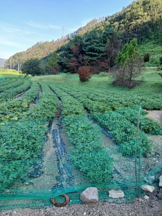 진일환님의 자유주제 · 사진전 작성글 사진
