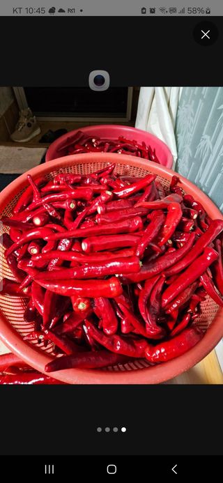 봉림동 태진농장님의 자유주제 · 자유게시판 작성글 사진