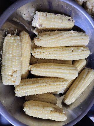 원빈님의 자유주제 · 자유게시판 작성글 사진