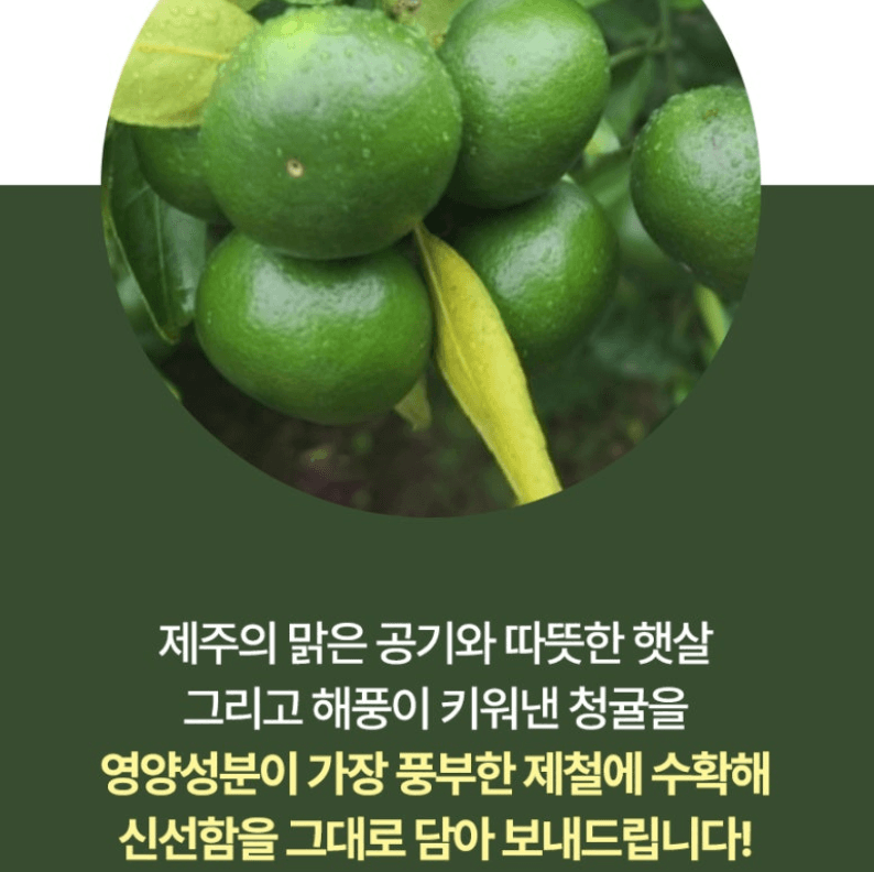 스피드번님의 장터 판매 상품 [제주도 청귤] 첨부 사진