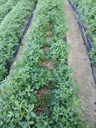 진일환님의 자유주제 · 사진전 작성글 사진