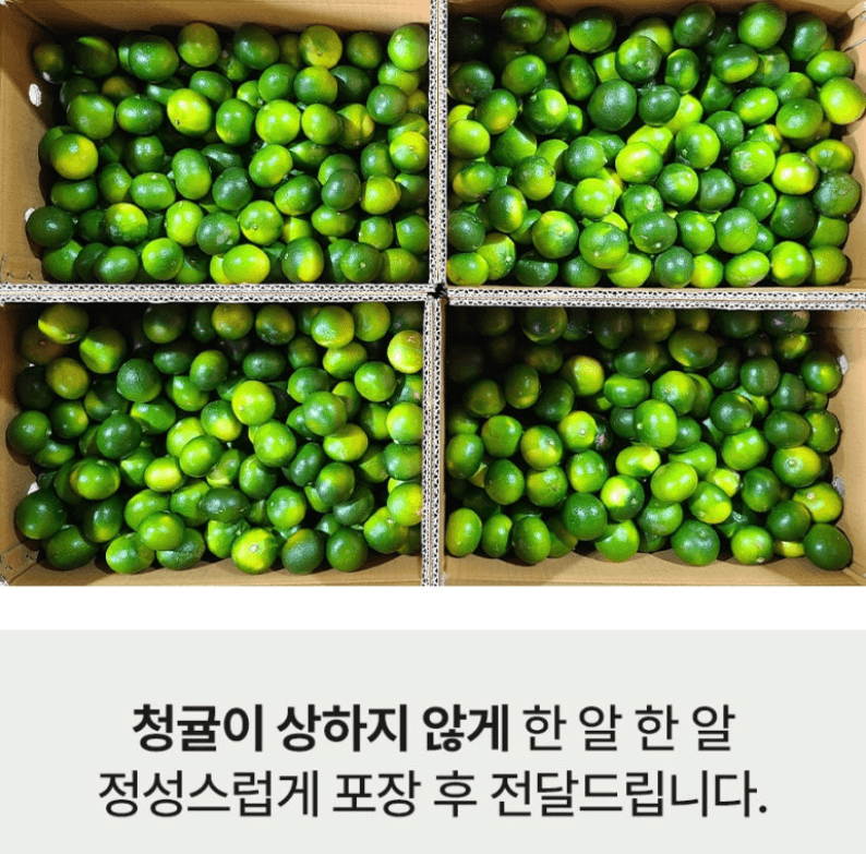 스피드번님의 장터 판매 상품 [제주도 청귤] 첨부 사진